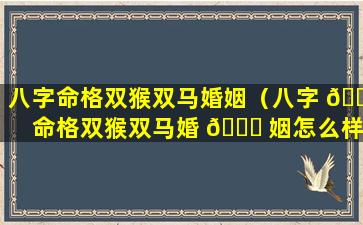 八字命格双猴双马婚姻（八字 🌾 命格双猴双马婚 🐞 姻怎么样）